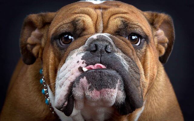 how to uninstall pyramid build on kodi from a mac how to uninstall pyramid build on kodi from a mac