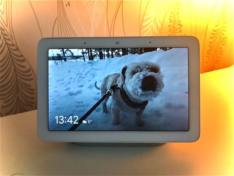 does google mini need google chrome cast does google mini need google chrome cast